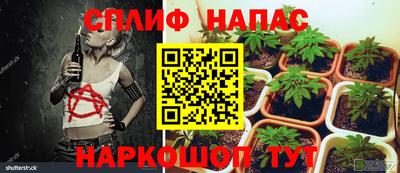 стаф Балашиха